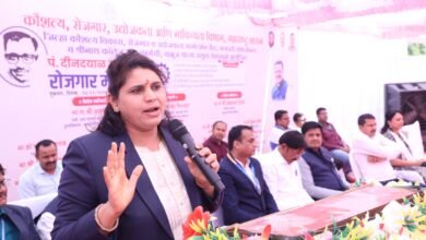 Photo of रोजगार मेळाव्यातून 331 उमेदवारांची निवड…